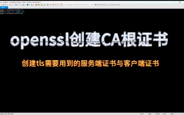 openssl创建CA根证书,tls使用的服务端客户端证书