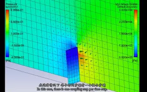 Download Video: fluent案例33柔性扑翼 气固双向耦合