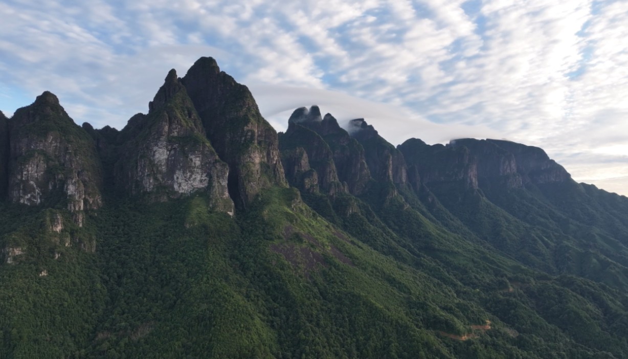 广西金秀五指山主峰登顶纪录片下集,走了一天一夜!哔哩哔哩bilibili