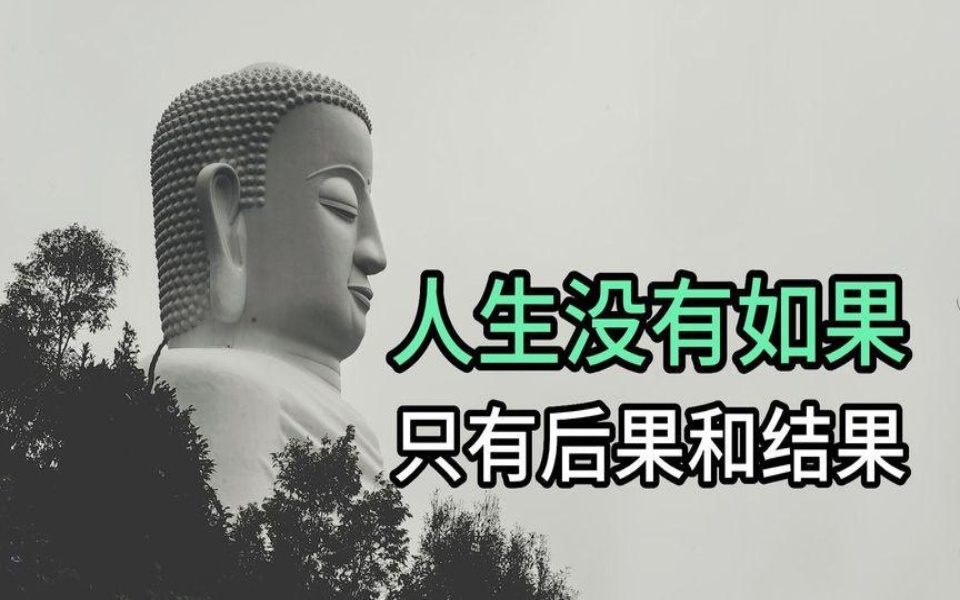 人生没有如果,只有后果和结果,佛法哲学如何教会我们面对人生