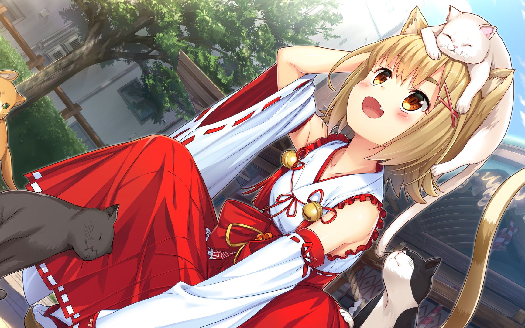 【gal轻音乐 cg鉴赏3】神社里的猫巫女(温馨治愈)
