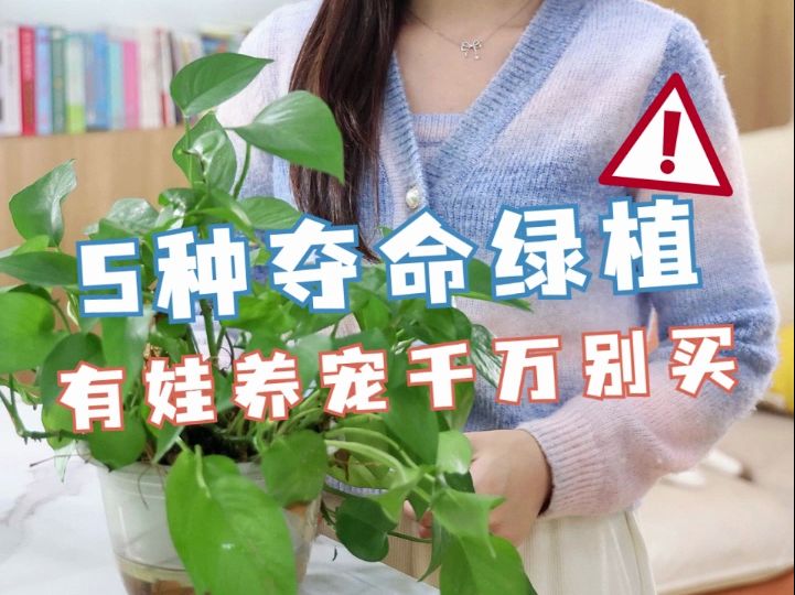 [图]有娃养宠家庭，这5种夺命绿植别养