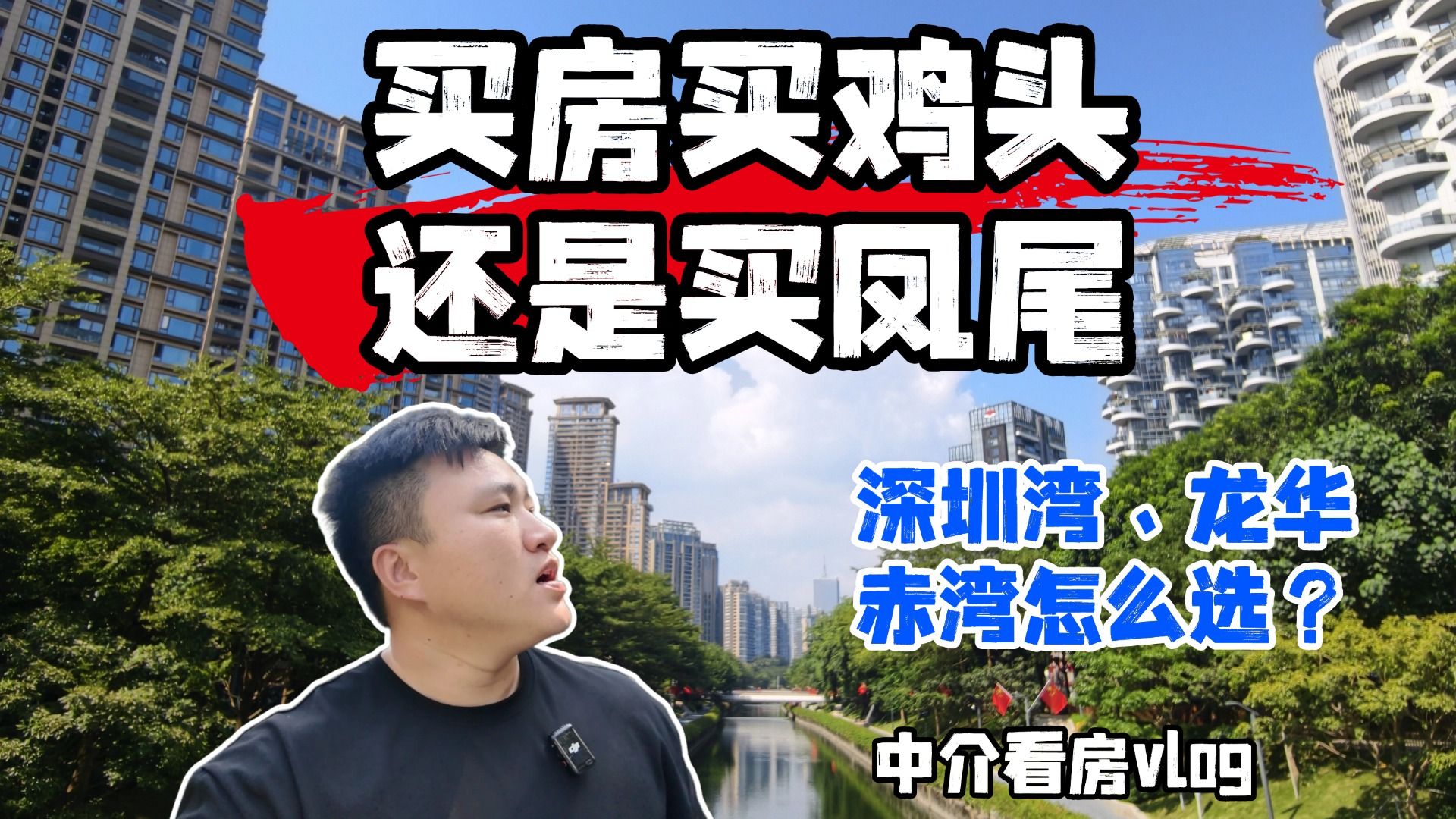 800多万是买深圳湾还是买赤湾，宝安，龙华？