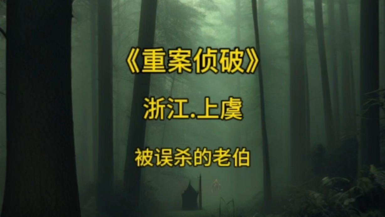 大案要案重案侦破,被误杀的老伯