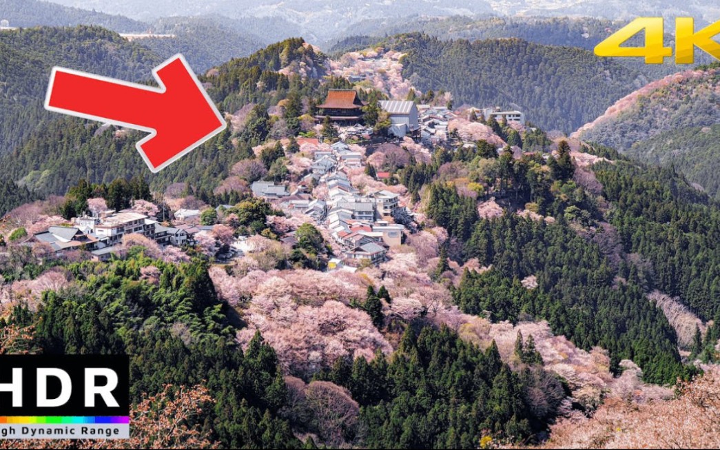 [图]4K 日本世界遗产樱花——御岳山。吉野樱-2小时4K