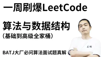 一周刷爆LeetCode，算法大神左神（左程云）耗时100天打造算法与数据结构基础到高级全家桶教程，直击BTAJ等一线大厂必问算法面试题真题详解（马士兵）