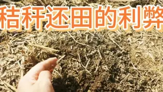 秸秆还田的土壤变成这样子了，真是没有想到，利弊自然明了