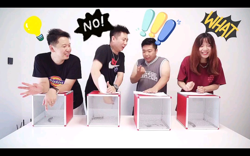 谁是卧底～摸箱子.箱子里活蹦乱跳～吓坏大家.卧底竟然是?