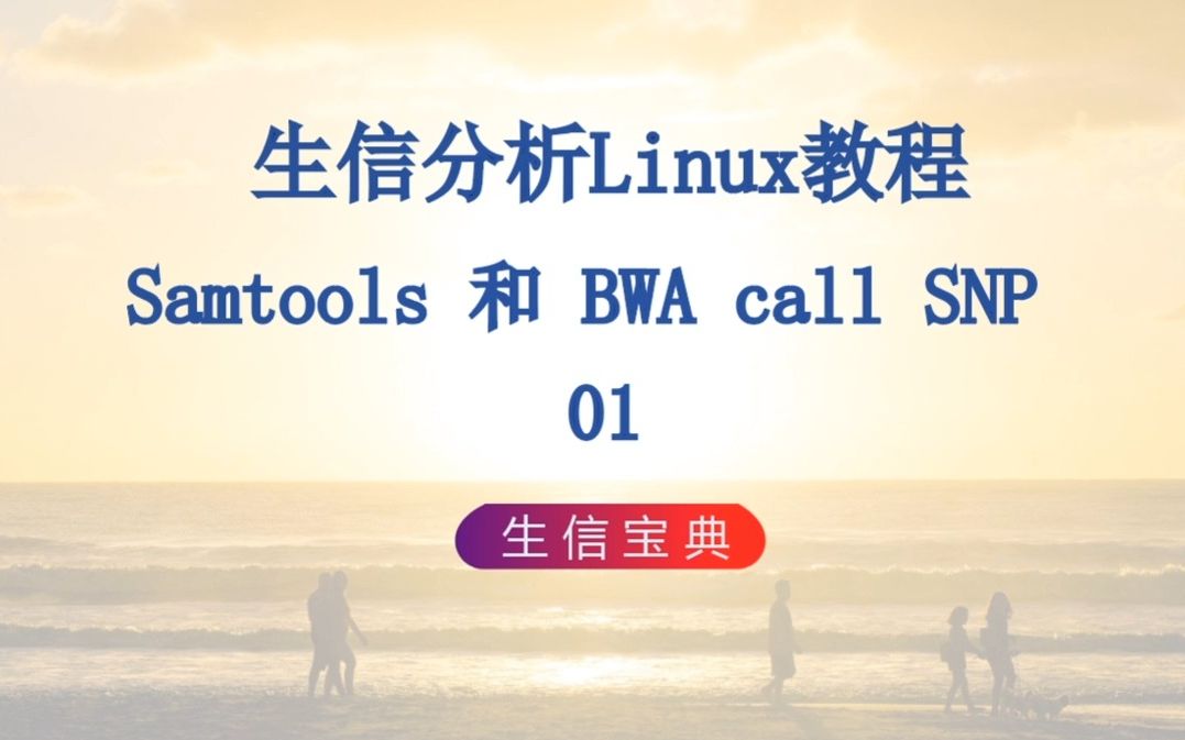 14 Samtools和BWA call SNP 01哔哩哔哩bilibili