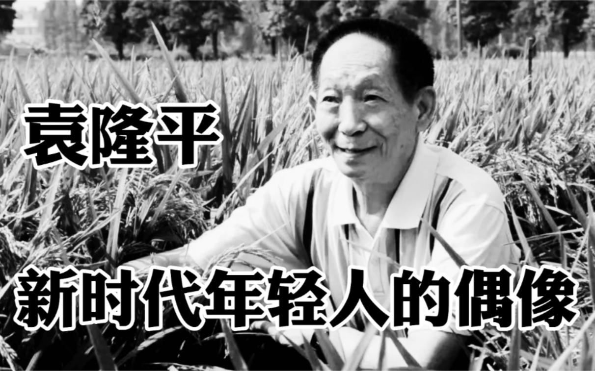 袁隆平!新时代的偶像,值得年轻人学习的榜样,回顾袁爷爷这一生哔哩哔哩bilibili