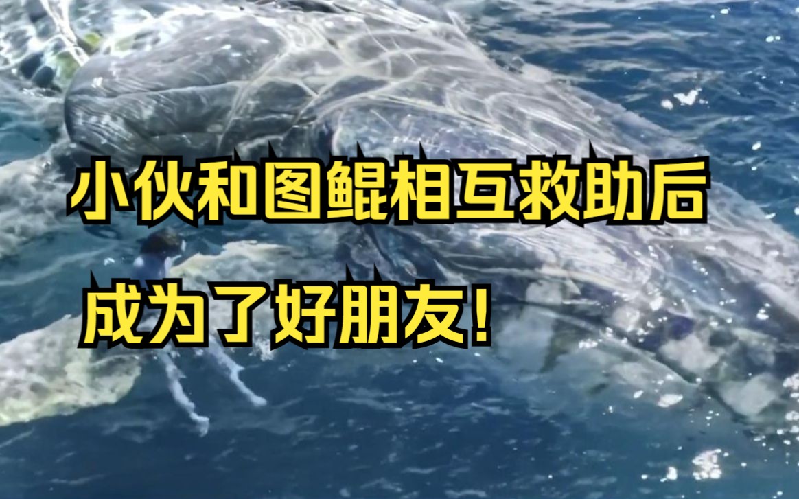 小伙和图鲲相互救助成为好朋友,小伙子拥有了最霸气的坐骑!哔哩哔哩bilibili