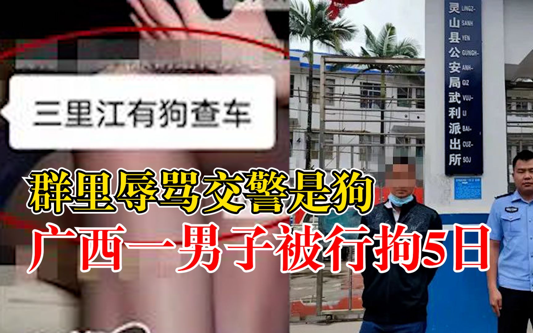 群里辱骂交警是狗,广西一男子被行拘5日哔哩哔哩bilibili