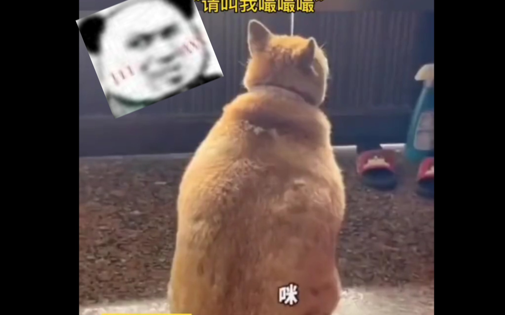 你是gg还是mm啊?哔哩哔哩bilibili