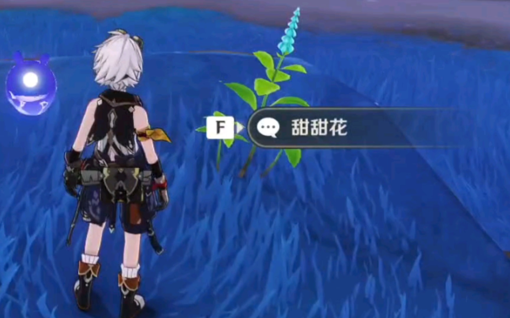 全提瓦特最丢人的骗骗花