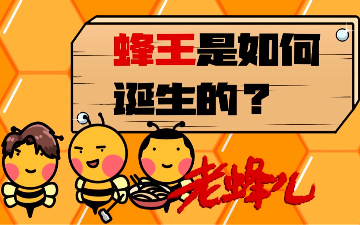 蜂窝塌房了?看看蜂王是如何诞生的吧!哔哩哔哩bilibili