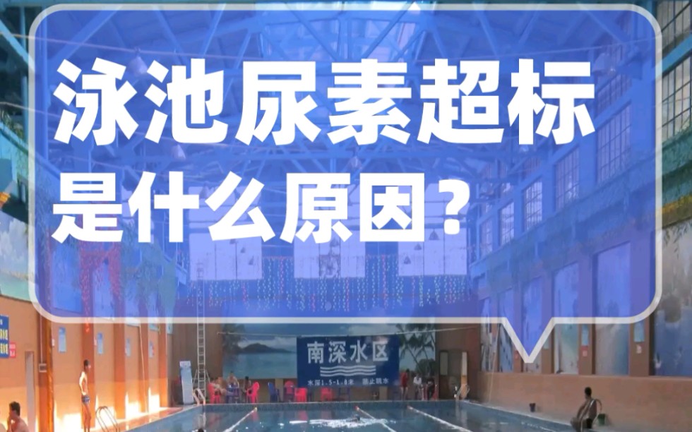 泳池尿素超标是什么原因?泳池行业知识科普,泳池水处理.哔哩哔哩bilibili