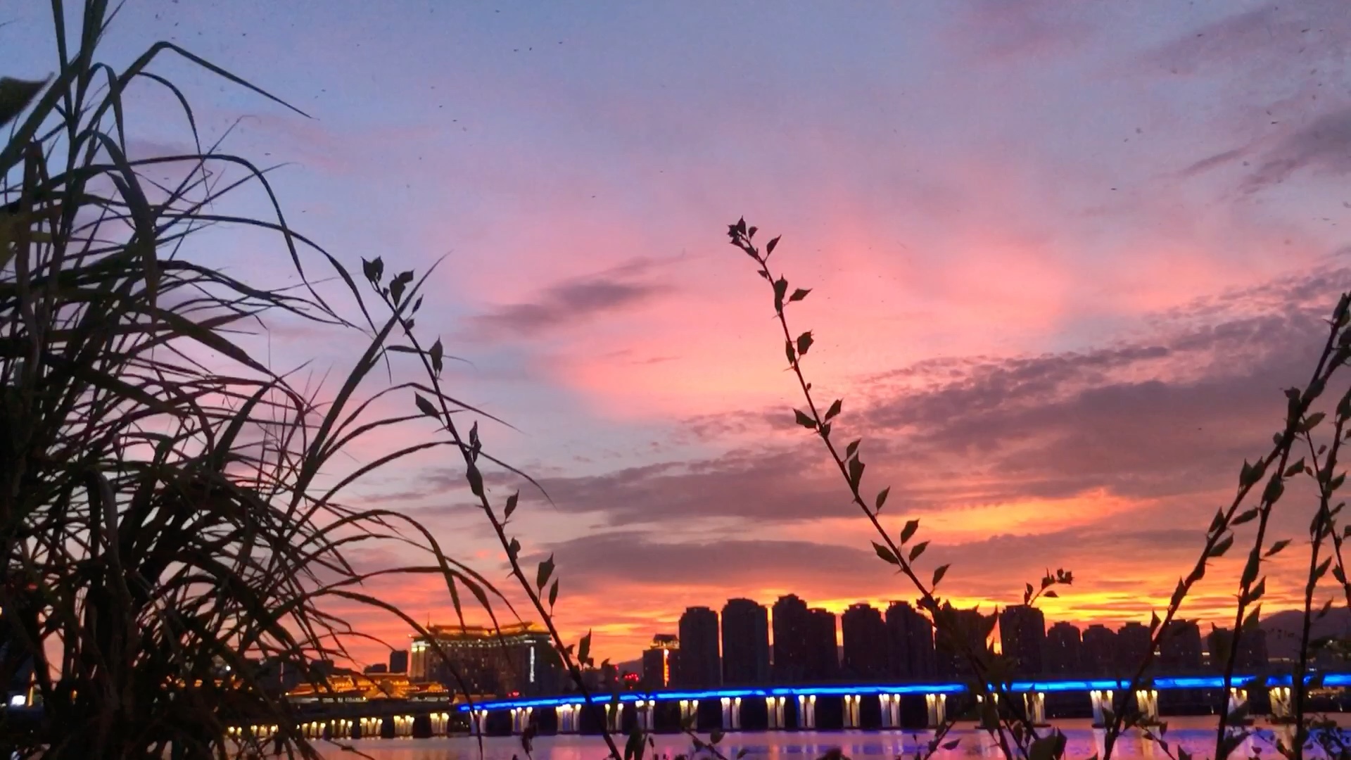 【夏天的晚霞】傍晚跑步偶遇 有什么比大自然的魅力更令人心动呢夏天