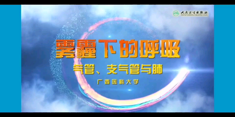【系统解剖学】雾霾下的呼吸——气管、支气管与肺哔哩哔哩bilibili