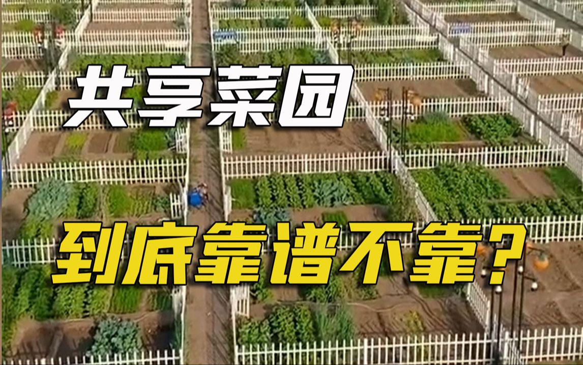 把QQ农场搬进现实的共享菜园,到底是创业好项目,还是割韭菜?哔哩哔哩bilibili