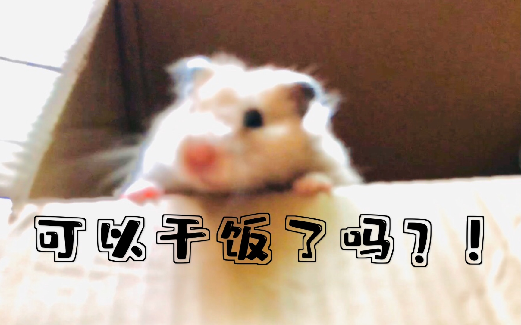 活动作品每天都是认真干饭的哒哒