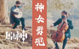 大月琴 哔哩哔哩 Bilibili