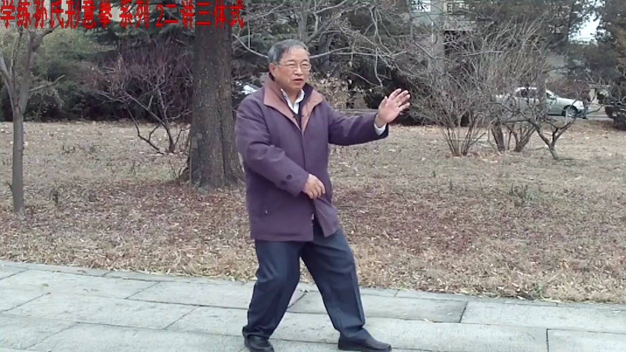 [图]形意拳-三体式 下