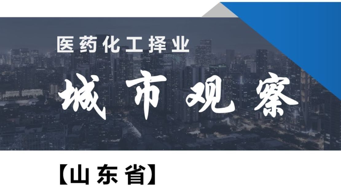 【医药化工择业】山东省指南1三大都市圈行业发展概要哔哩哔哩bilibili