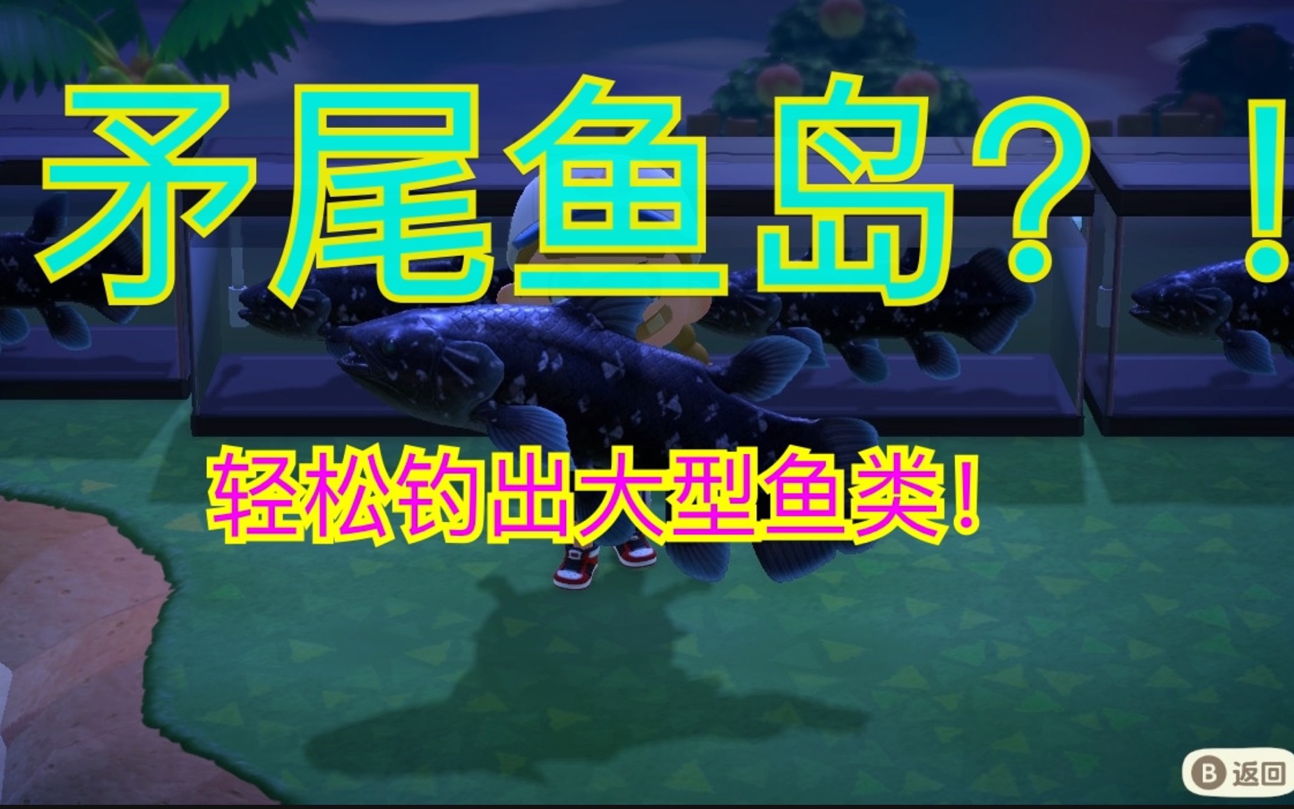 动物森友会这就是矛尾鱼岛非常轻松钓矛尾鱼
