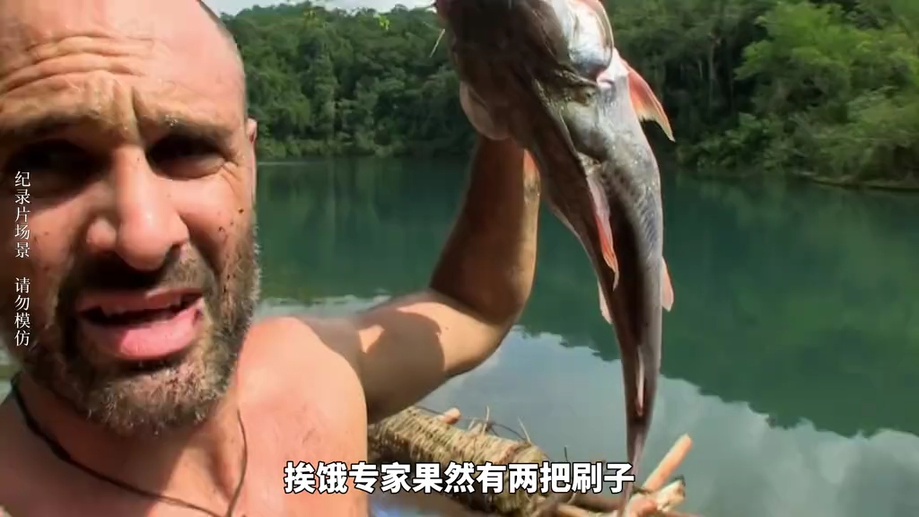 德爷危地马拉荒野求生,吃的是秘制狼蛛,碳烤鲇鱼#荒野求生#单挑荒野