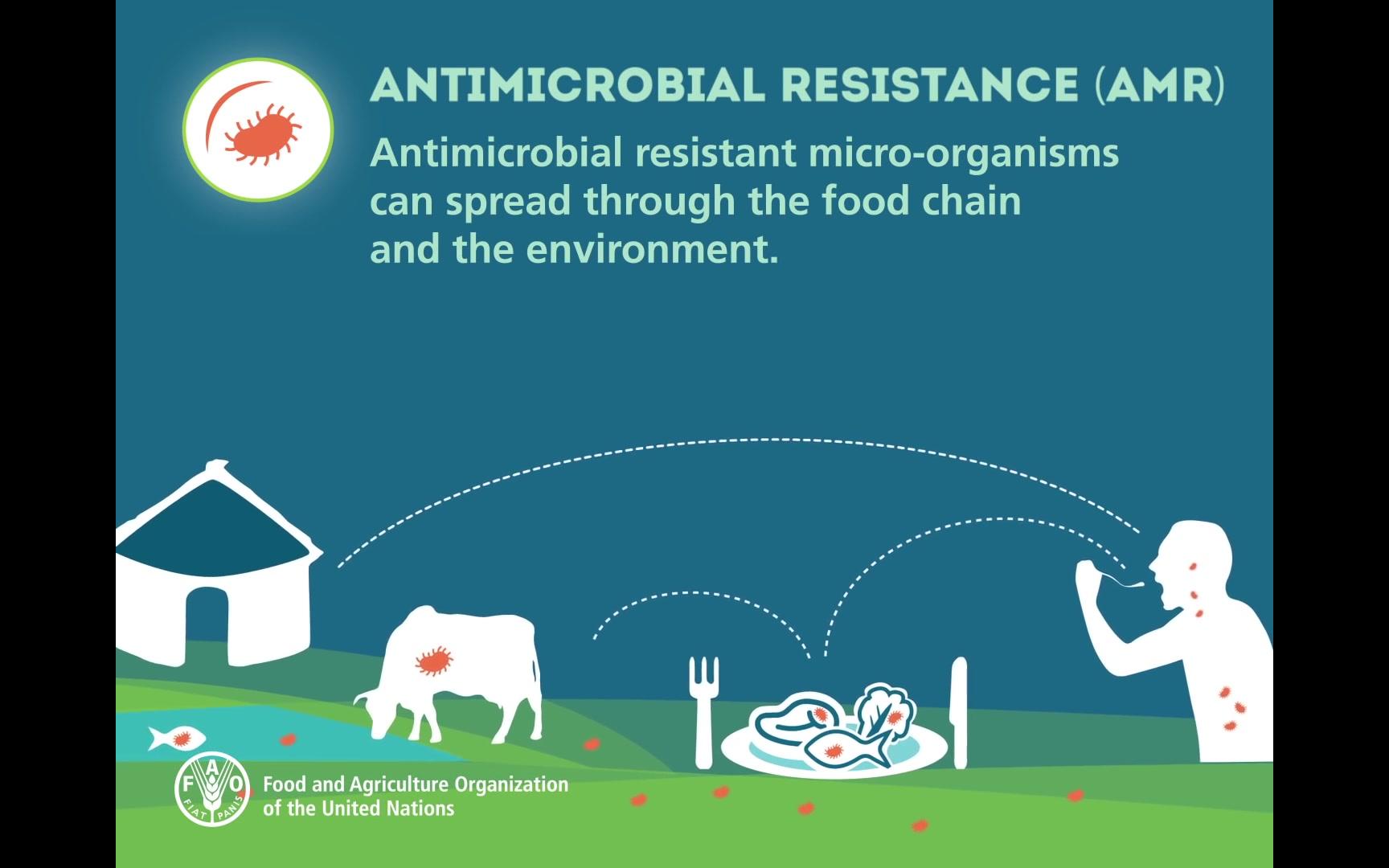 FAO: 什么是抗生素耐药性?哔哩哔哩bilibili