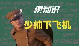 Video herunterladen: 【梗知识】少帅下飞机