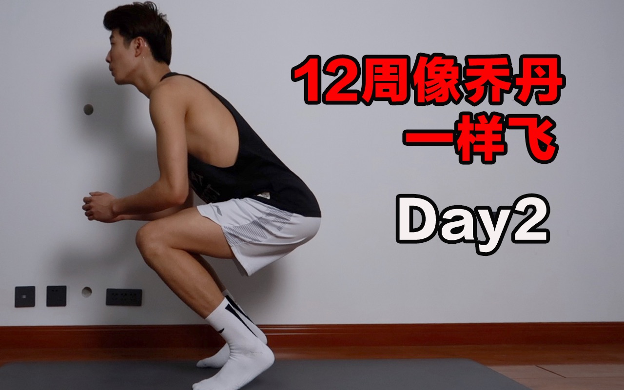 [图]12周像乔丹一样飞Day2