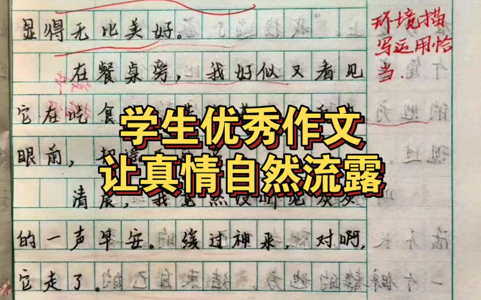 [图]《让真情自然流露~》优秀学生作文六年级下册第三单元同步作文