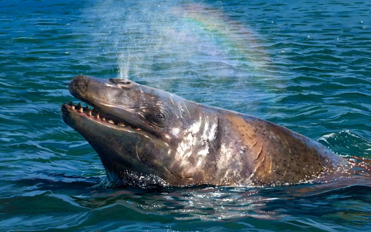 巨像秘鲁鲸最新复原图 推特照 3900万年前古鲸 恐龙史新世古生物复原