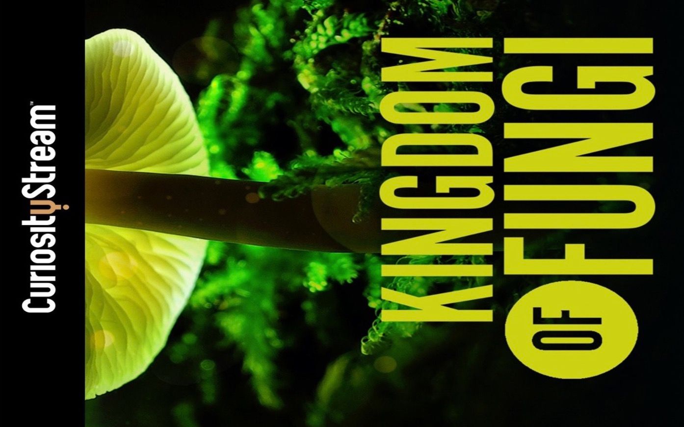 【纪录片】真菌如何造就世界/改变地球的真菌 中文字幕 The Kingdom How Fungi Made Our World (2018)哔哩哔哩bilibili