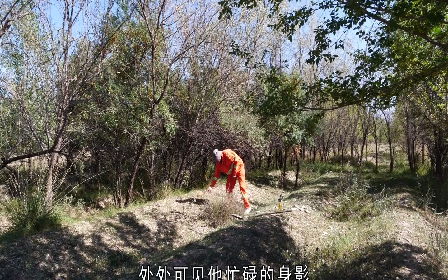 18.张掖市林草局:守林护林三十载 绿了荒滩白了头——记山丹县十里堡林场护林员曹正明同志先进事迹哔哩哔哩bilibili