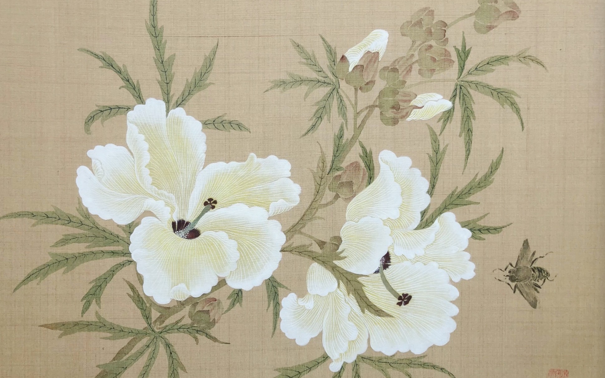 活动作品秋葵花谢楚芳笔意临习