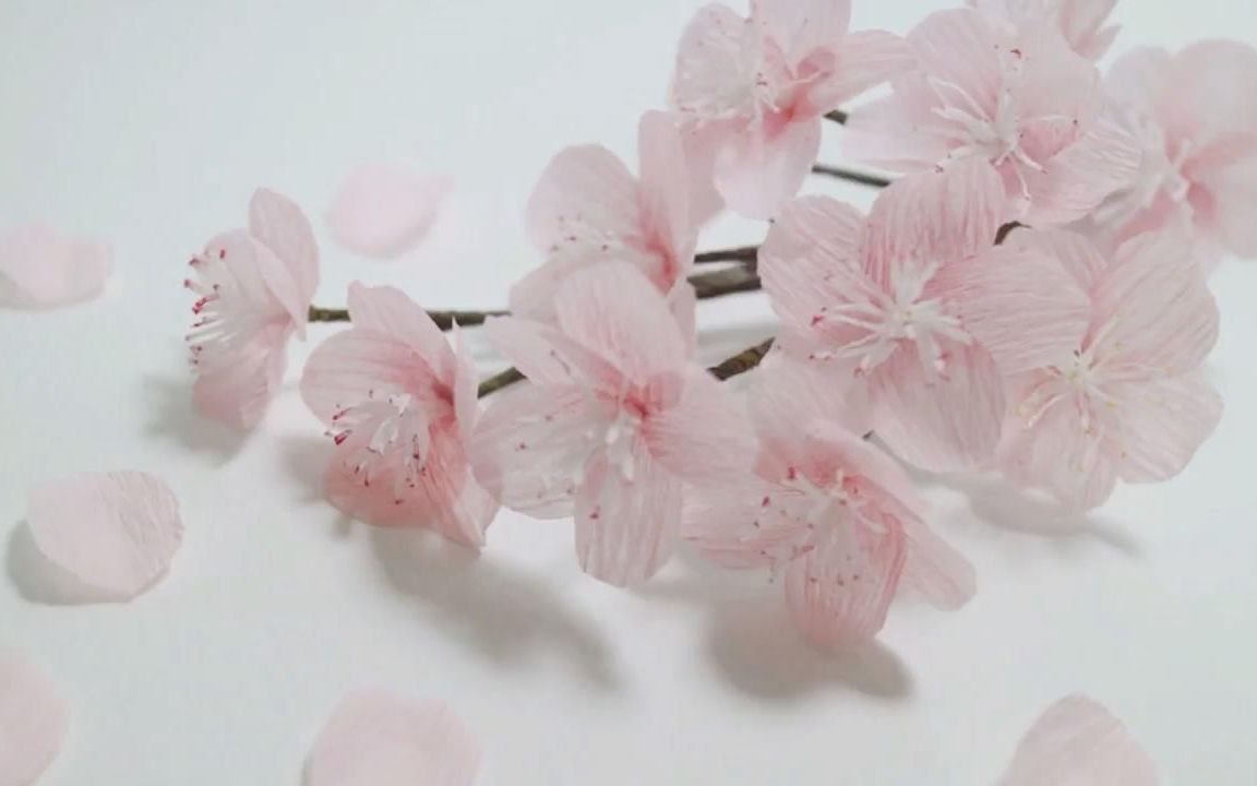 绉纸花(皱纹纸花) 樱花哔哩哔哩bilibili