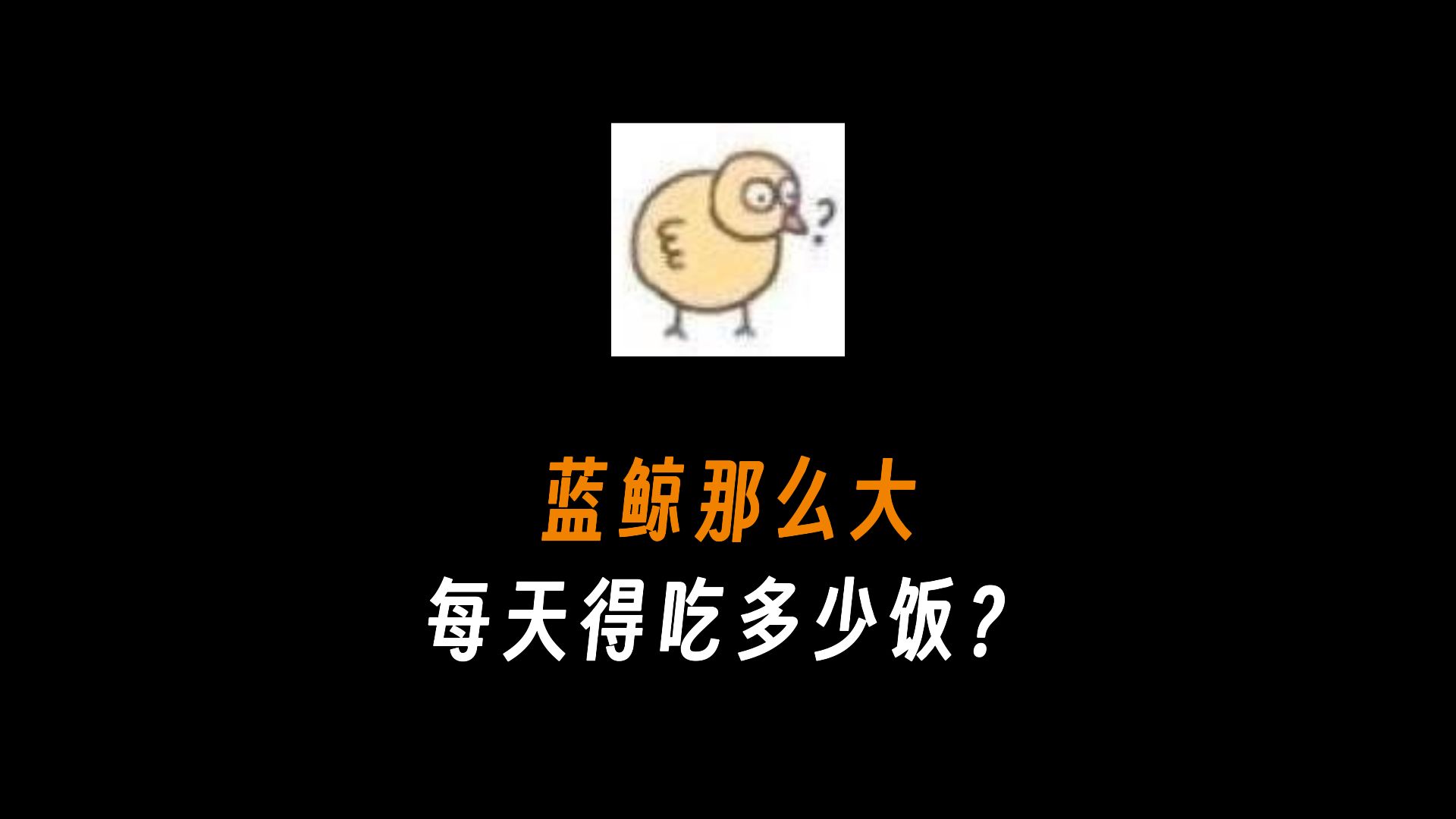 蓝鲸那么大每天得吃多少饭?哔哩哔哩bilibili