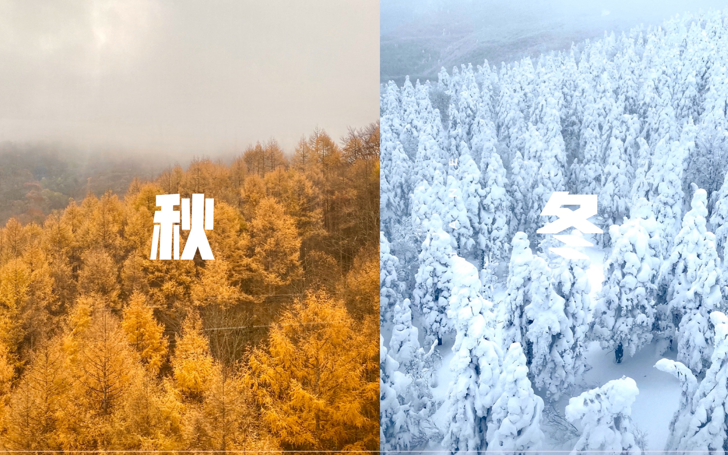 日本|秋冬|从红叶到树冰|用50秒跟我一起去感受季节交替