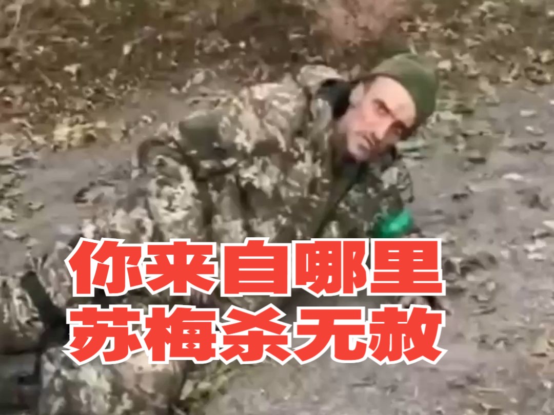 俄军士兵问乌军俘虏来自哪里他说来自苏梅州,拿起手里的枪就是一顿点射,精准命中俘虏哔哩哔哩bilibili