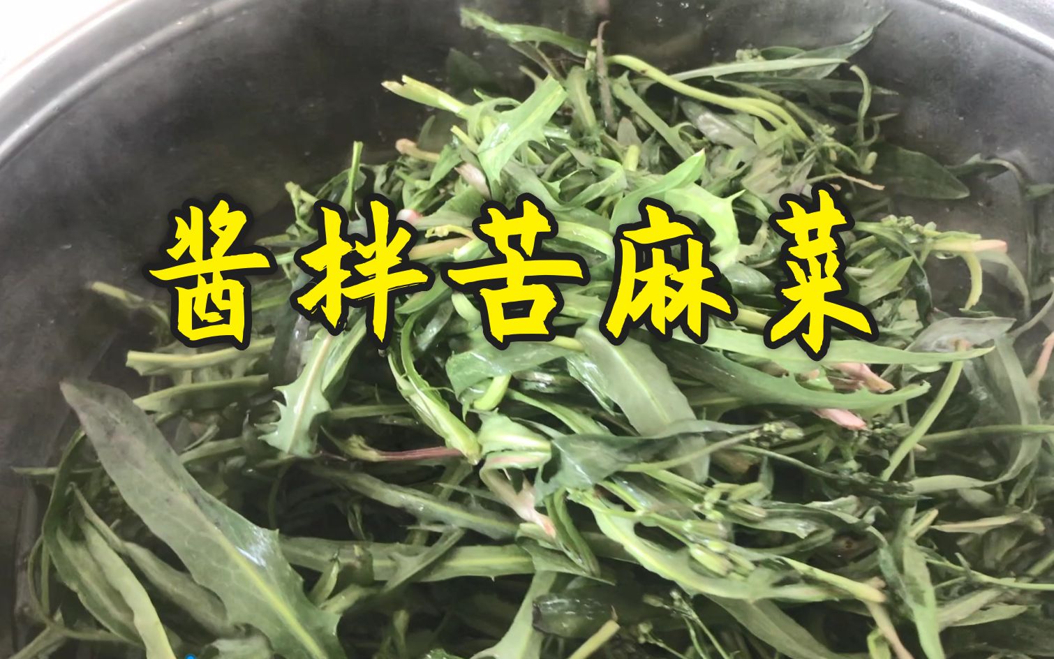 酱拌二茬苦麻菜第二茬出来的苦麻菜叶片嫩它具有解毒败火消炎功效
