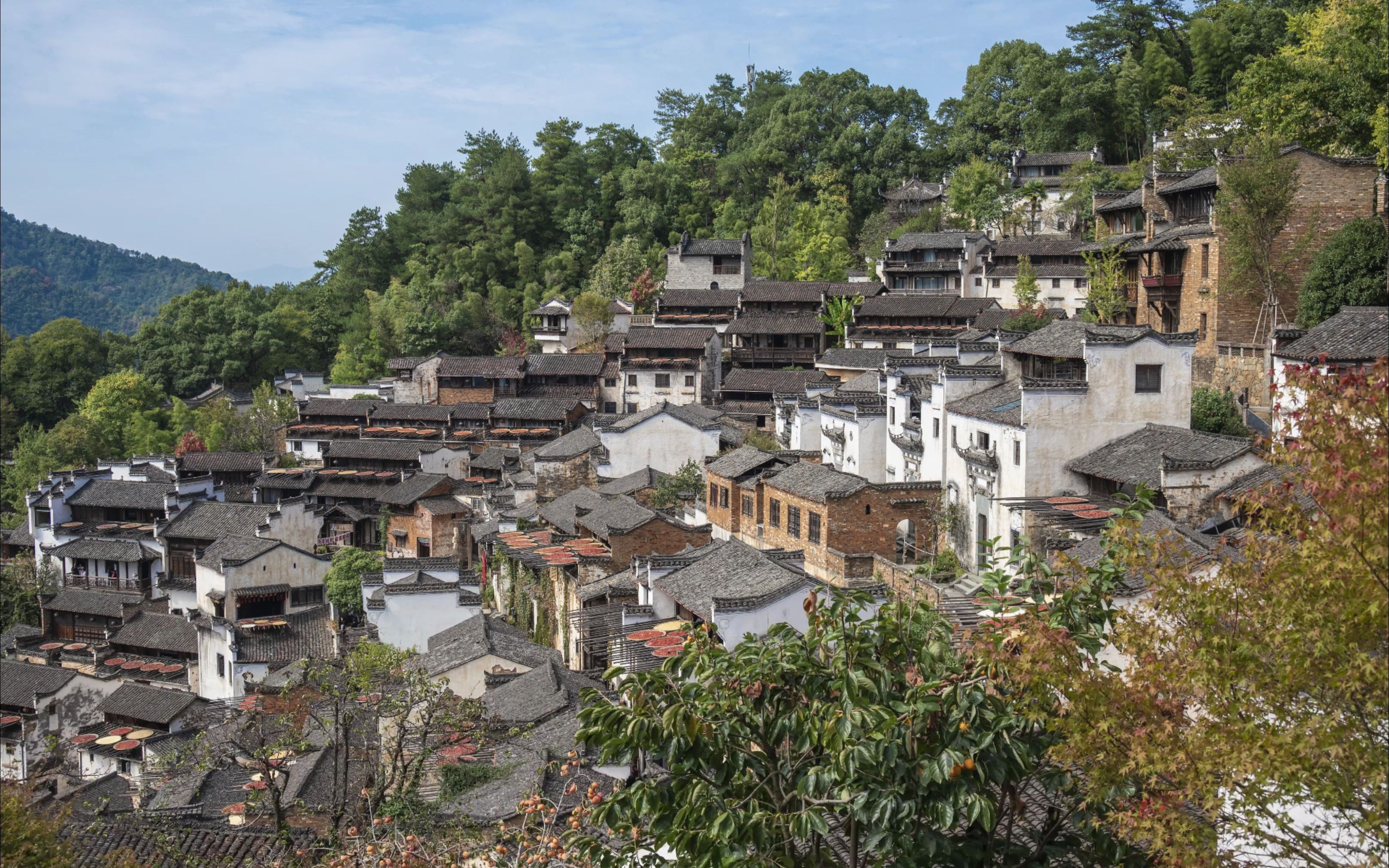 [图]一个人的旅行-江西婺源篁岭