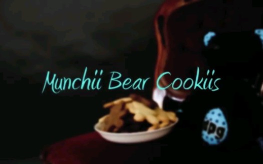 【电波少女】Munchii Bear Cookiis prod by pigeondust哔哩哔哩bilibili