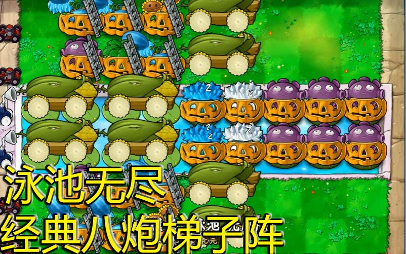 【植物大战僵尸】泳池无尽 经典八炮梯子阵