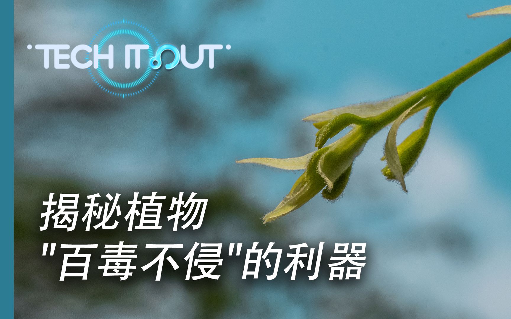 【原创 科普】植物如何抗病毒?哔哩哔哩bilibili