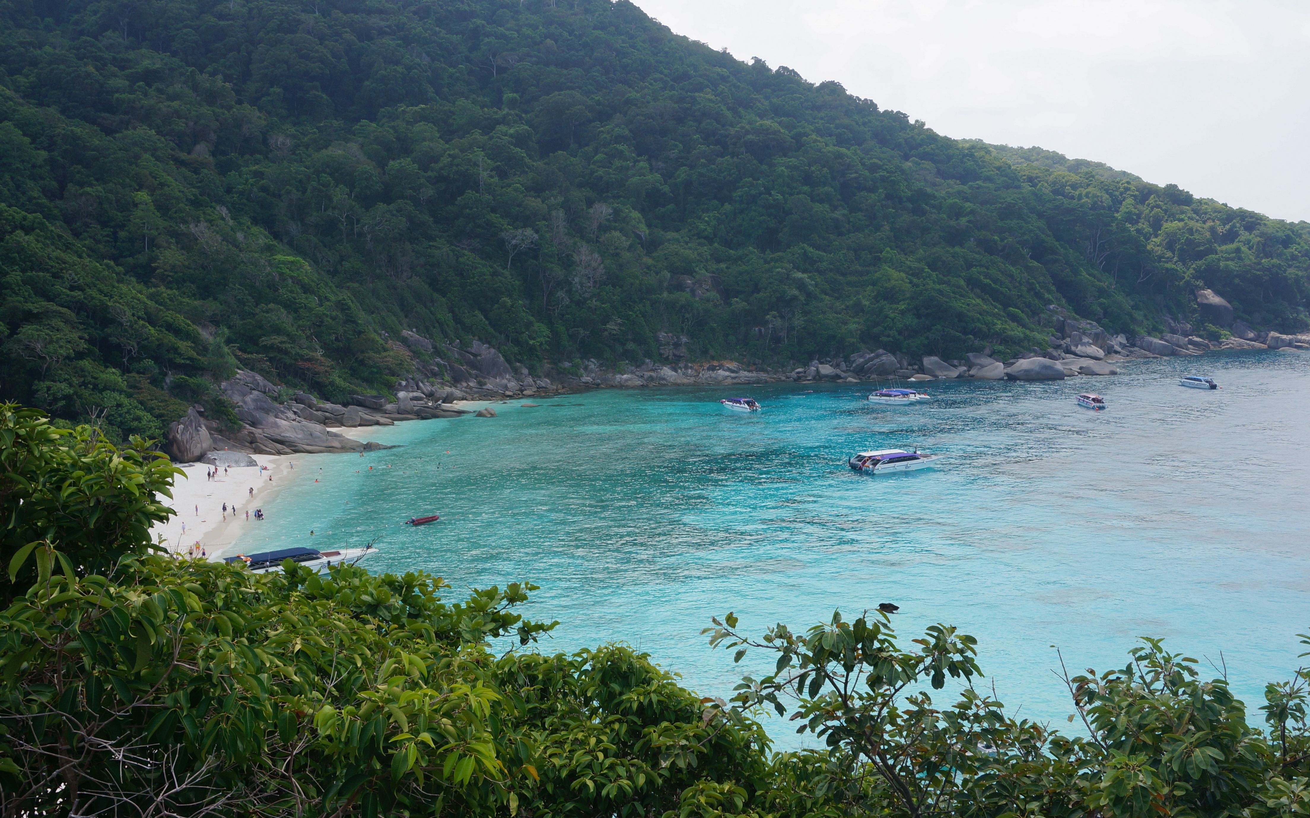 泰国斯米兰2日游