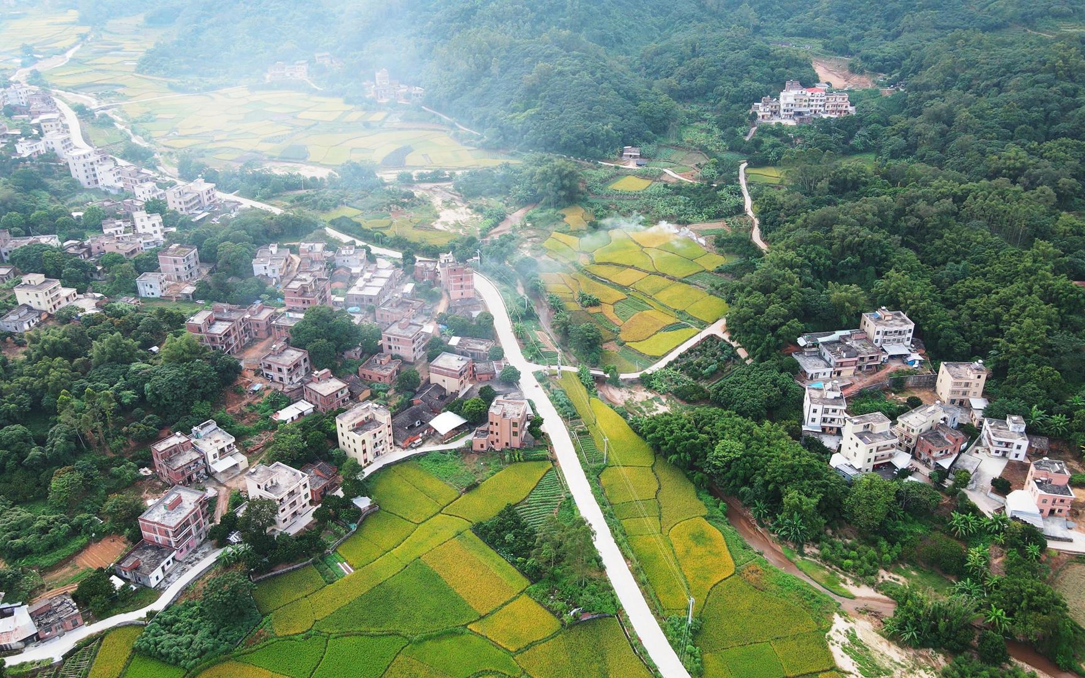 茂名高州根子镇照片图片