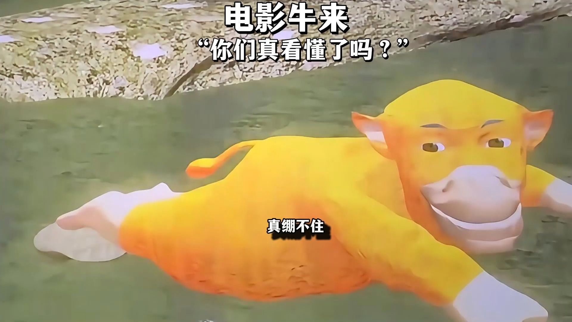 电影牛来：“有些细节没看懂，准备二刷”