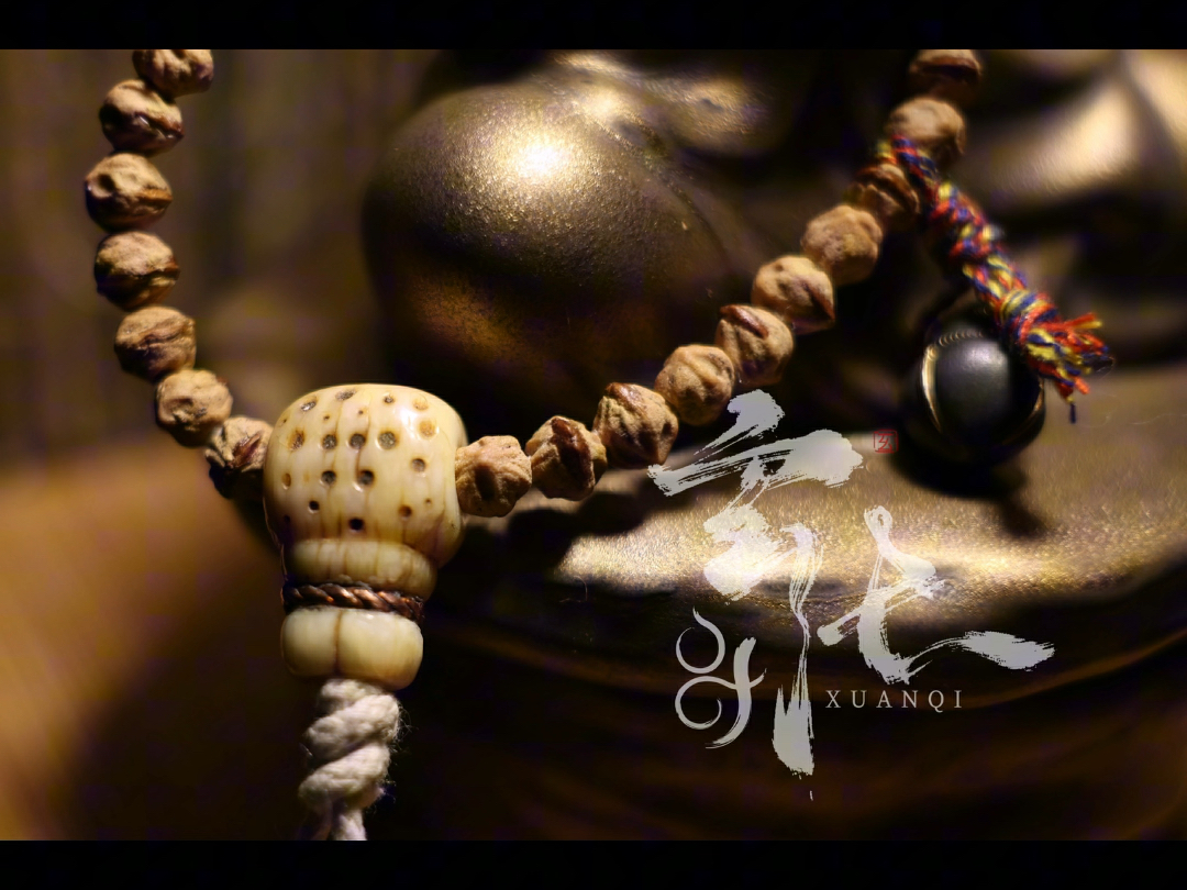 柏香籽里的「危情暗樱」